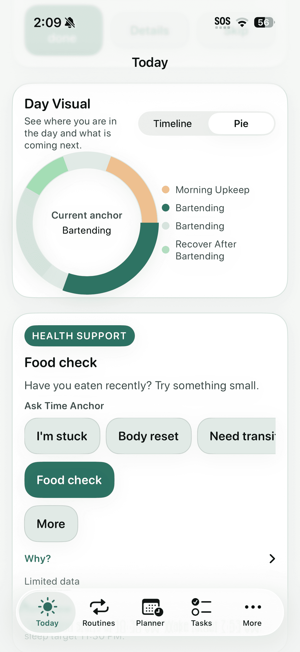 Day visual Time Anchor app screen